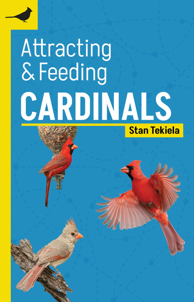 Cover image for Attracting & Feeding Cardinals, isbn: 9781647553326