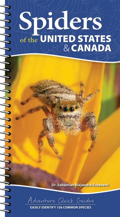 Cover image for Spiders of the United States & Canada, isbn: 9781647553463