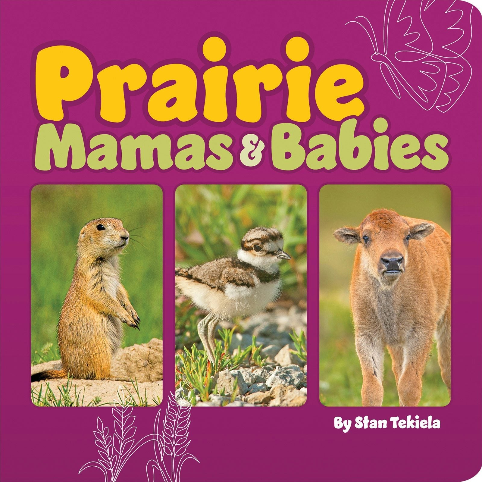 Book cover image for Prairie Mamas & Babies ISBN: 9781647553555