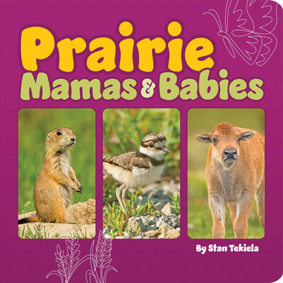 Cover image for Prairie Mamas & Babies, isbn: 9781647553555
