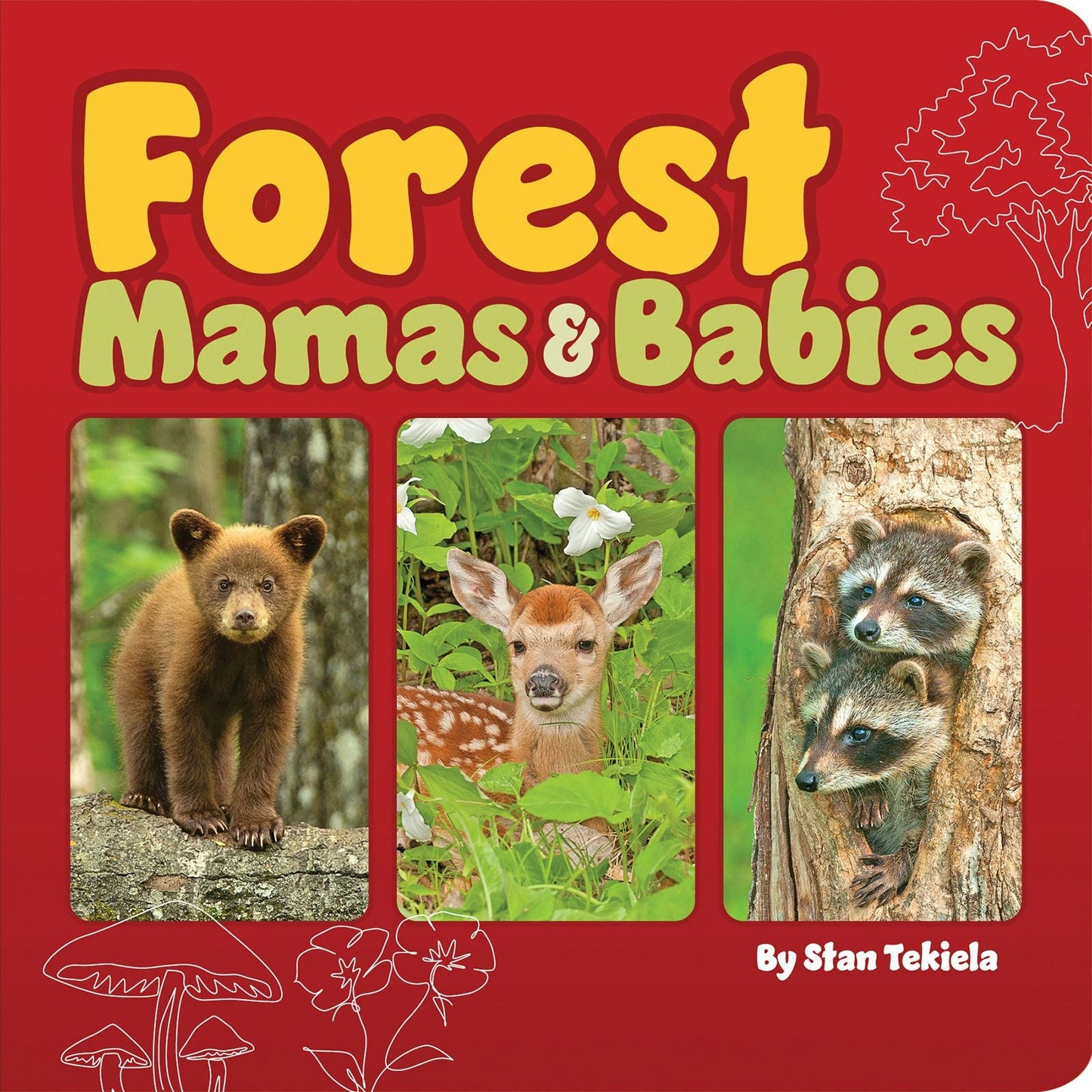 Book cover image for Forest Mamas & Babies ISBN: 9781647553579
