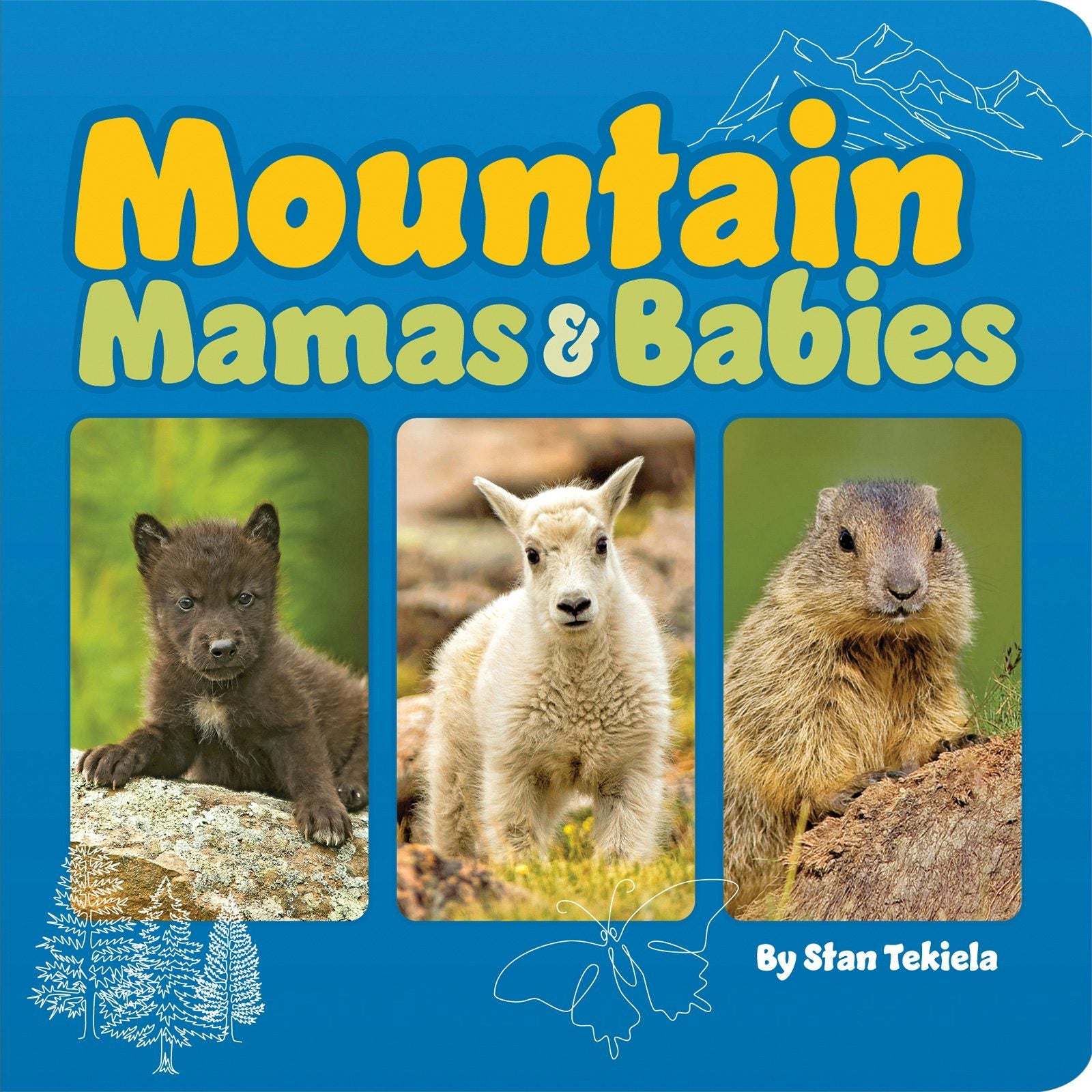 Book cover image for Mountain Mamas & Babies ISBN: 9781647553609