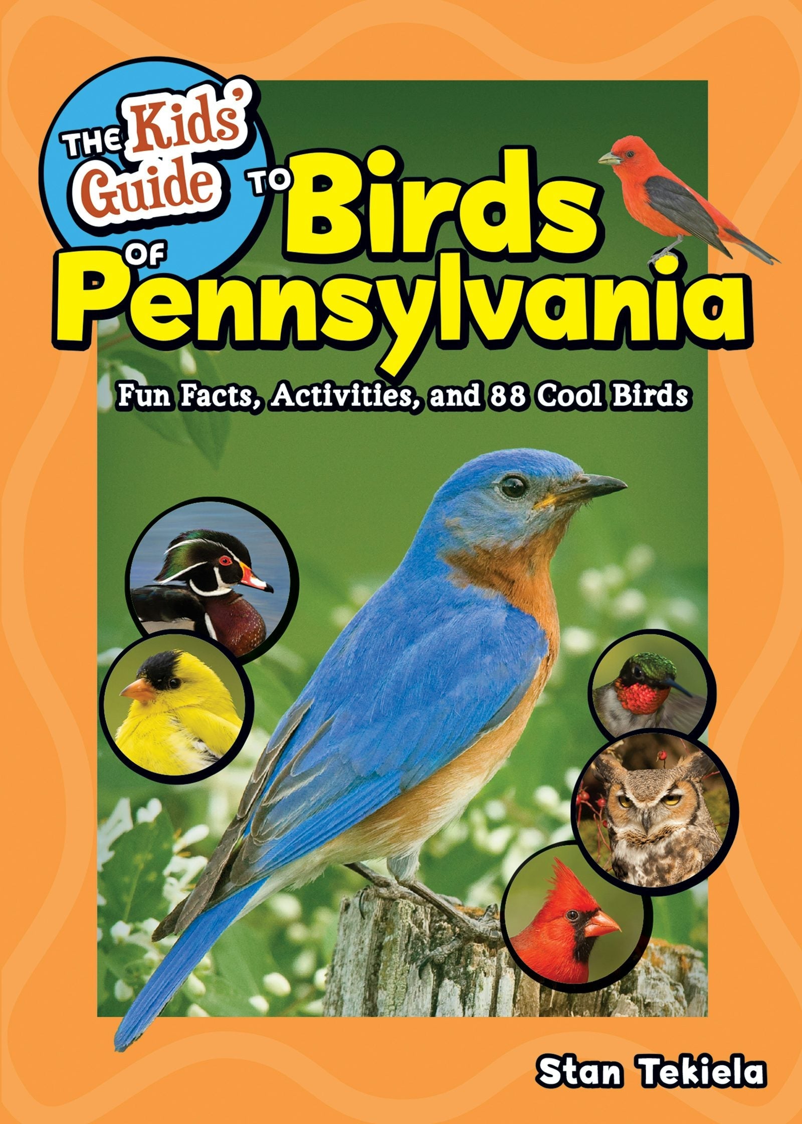 Book cover image for The Kids' Guide to Birds of Pennsylvania ISBN: 9781647553654