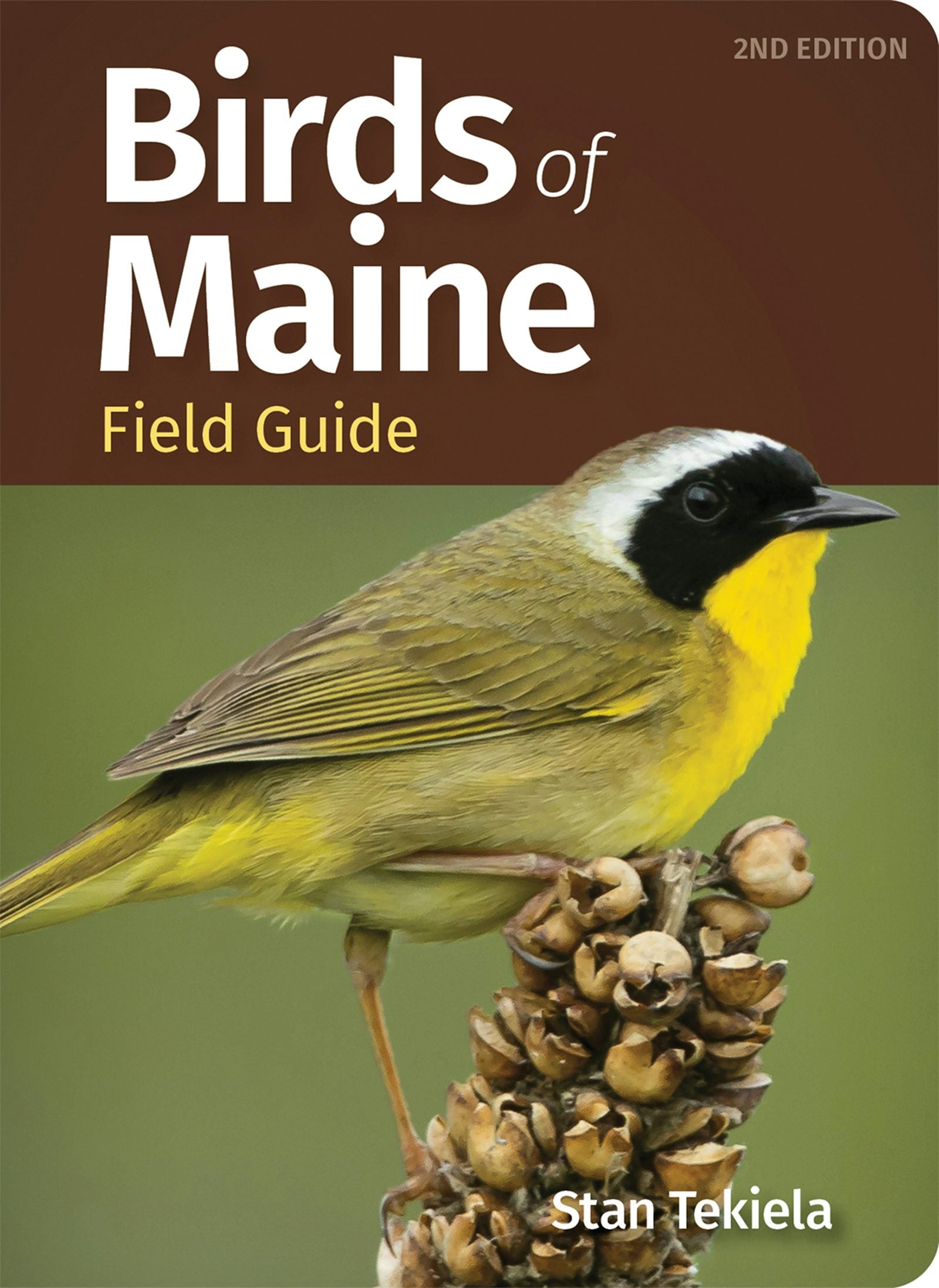 Book cover image for Birds of Maine Field Guide ISBN: 9781647553685