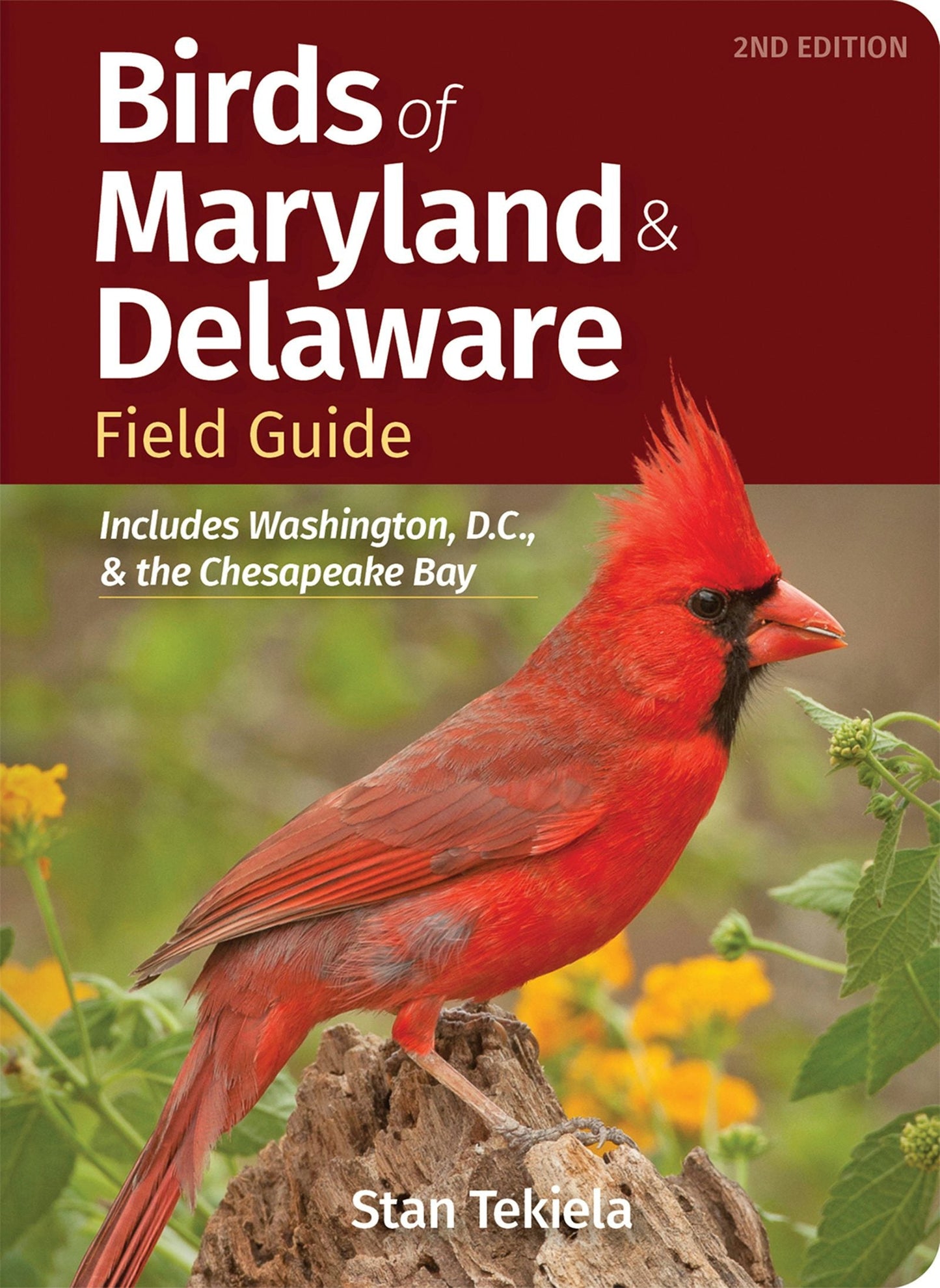 Book cover image for Birds of Maryland & Delaware Field Guide ISBN: 9781647553708