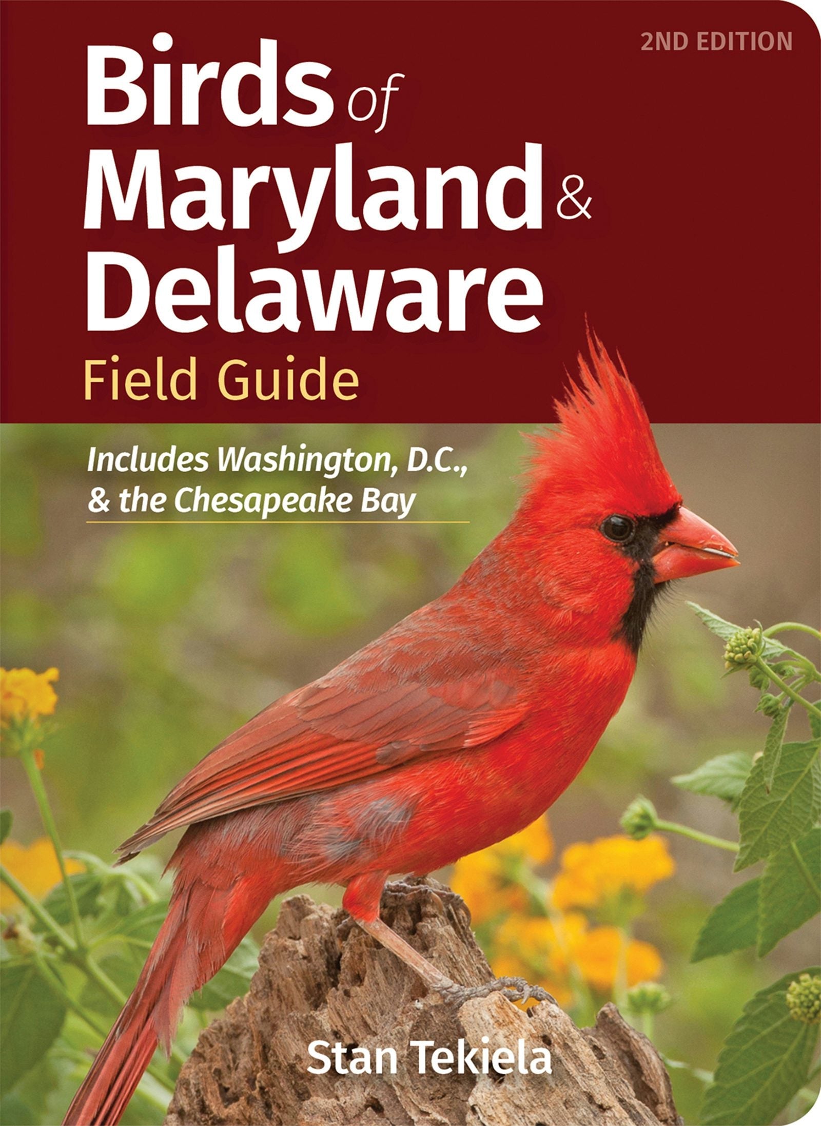 Book cover image for Birds of Maryland & Delaware Field Guide ISBN: 9781647553708