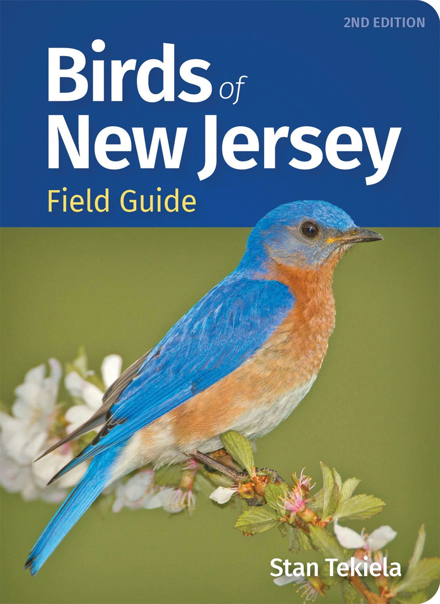 Book cover image for Birds of New Jersey Field Guide ISBN: 9781647553746