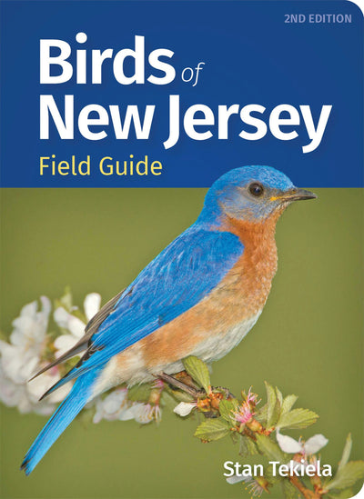 Cover image for Birds of New Jersey Field Guide, isbn: 9781647553753