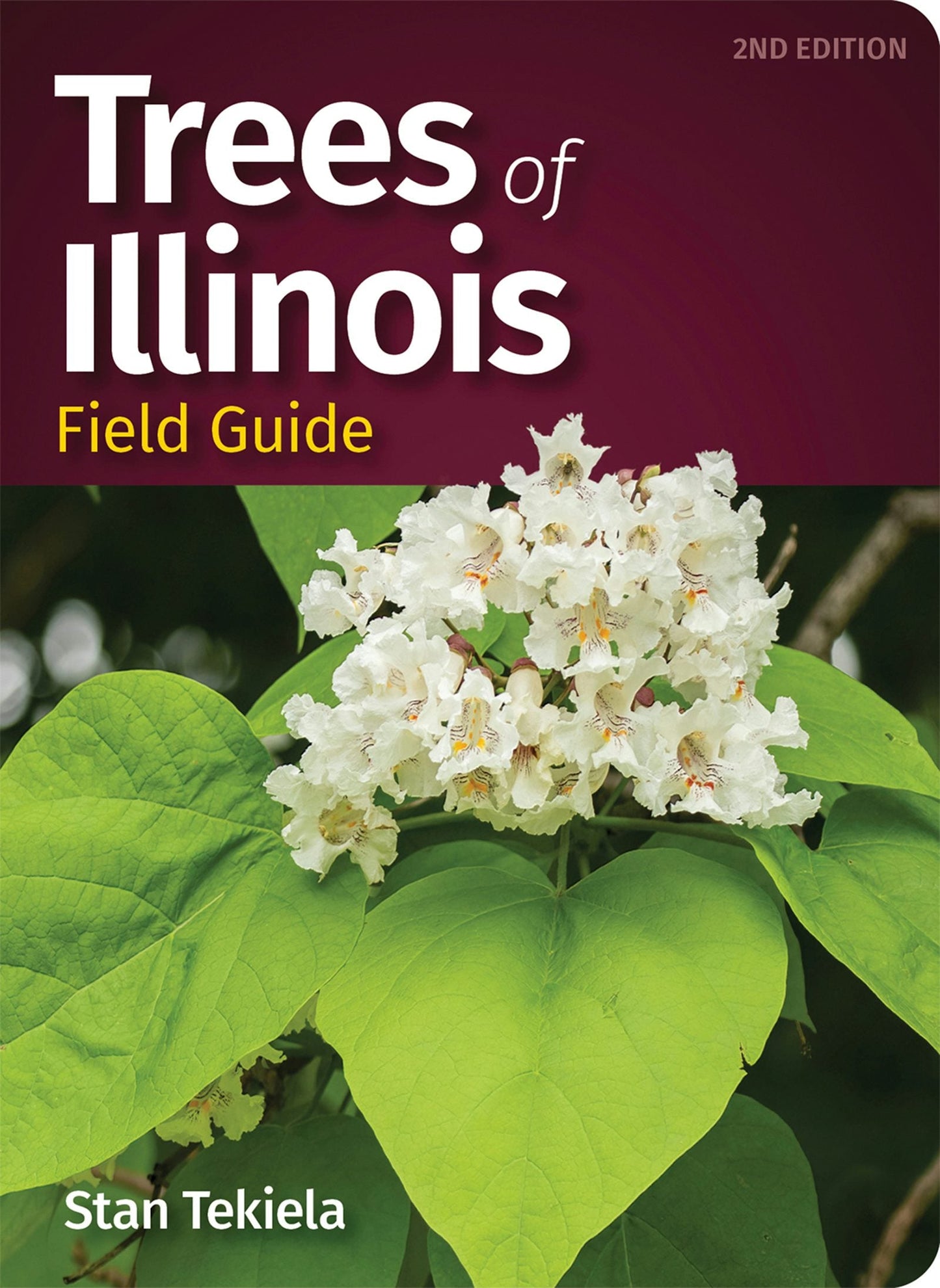 Book cover image for Trees of Illinois Field Guide ISBN: 9781647553791