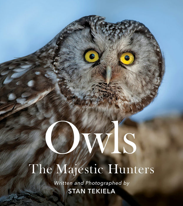 Cover image for Owls, isbn: 9781647553852