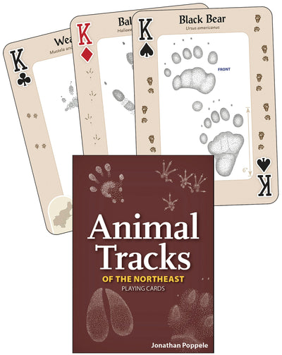 Cover image for Animal Tracks of the Northeast Playing Cards, isbn: 9781647553883