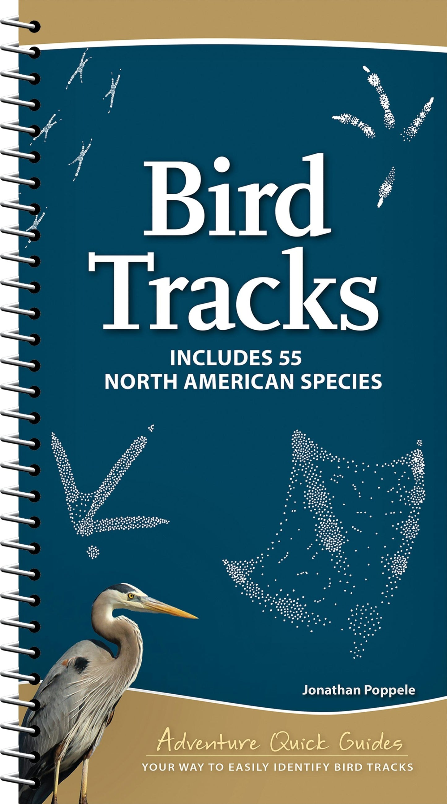 Book cover image for Bird Tracks ISBN: 9781647553913