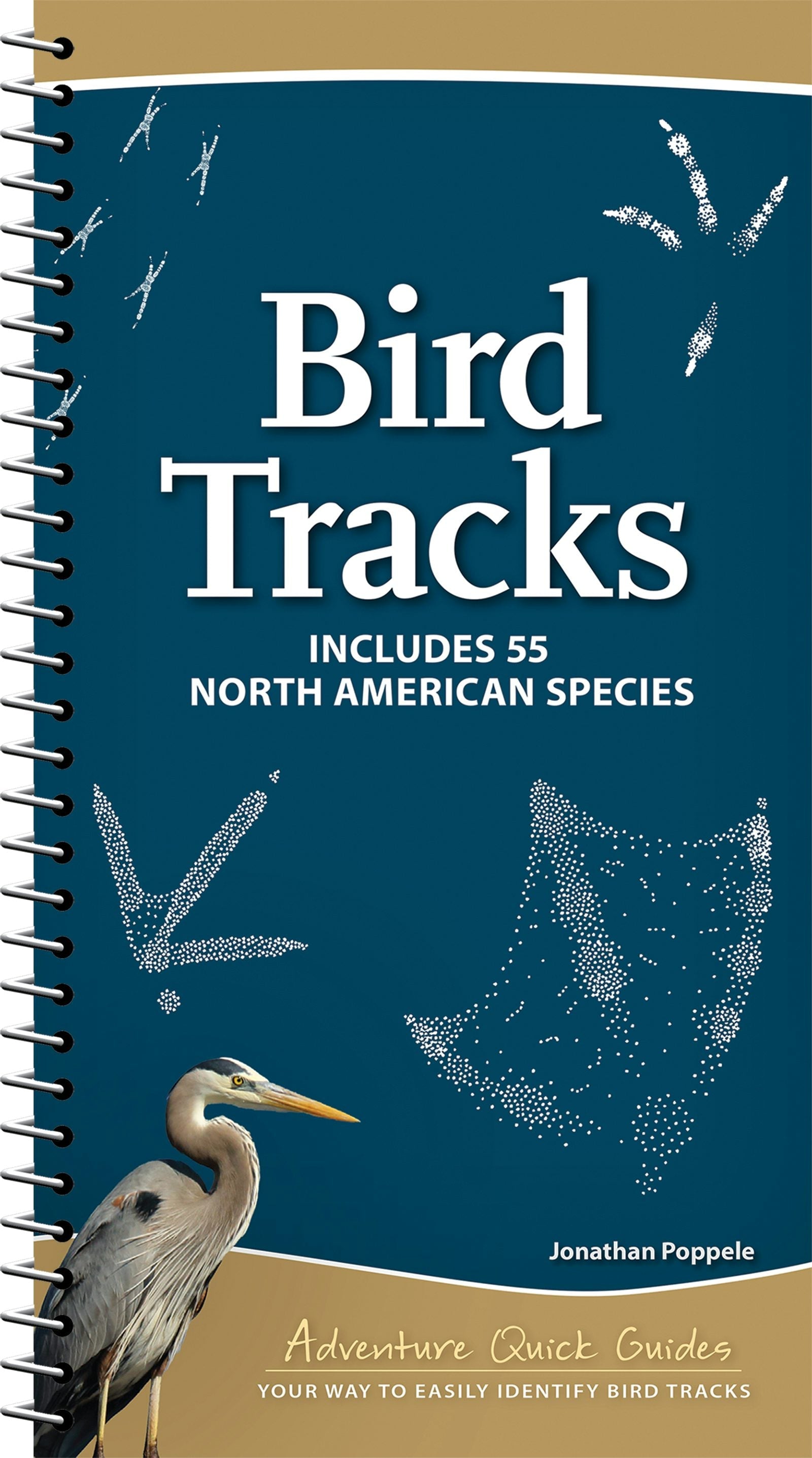 Book cover image for Bird Tracks ISBN: 9781647553913