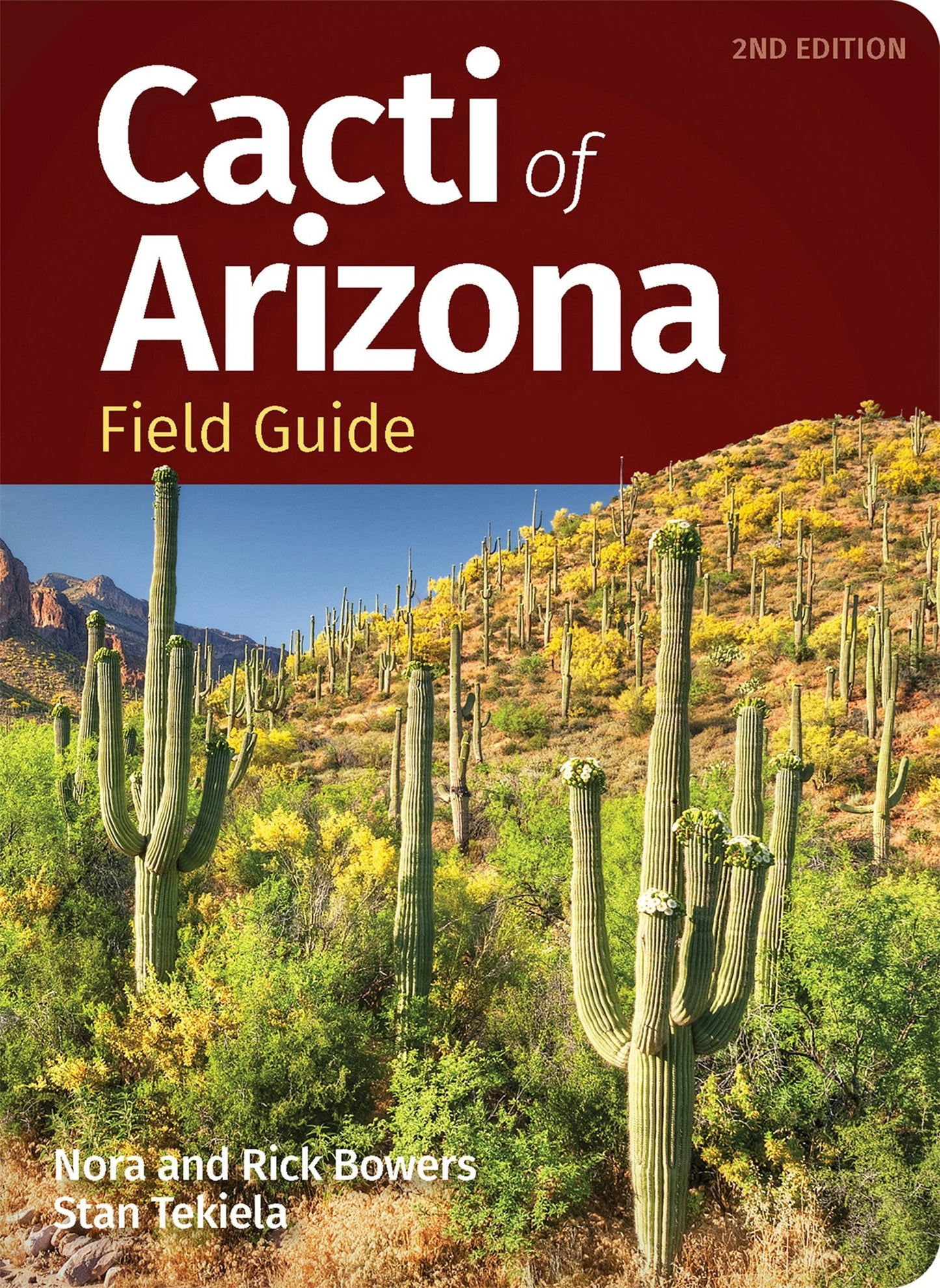 Book cover image for Cacti of Arizona Field Guide ISBN: 9781647553982