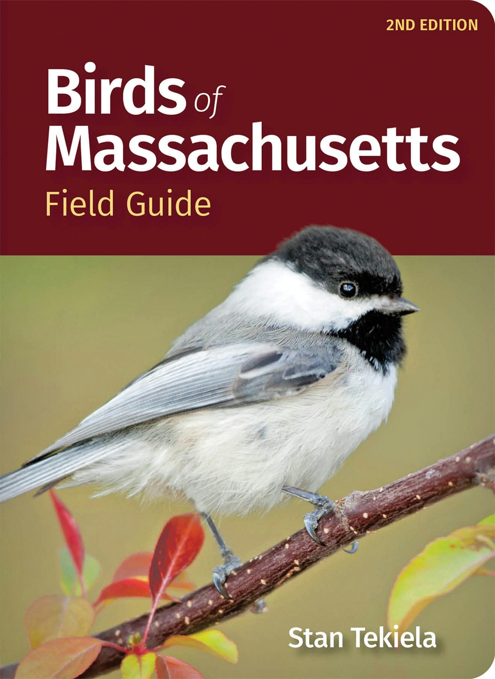 Book cover image for Birds of Massachusetts Field Guide ISBN: 9781647554040