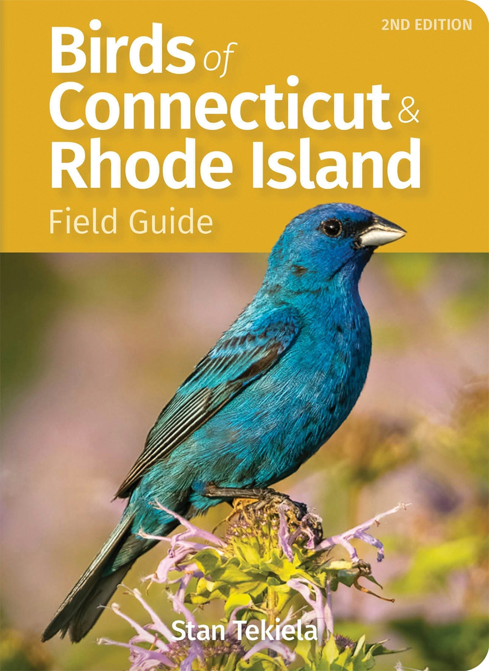 Book cover image for Birds of Connecticut & Rhode Island Field Guide ISBN: 9781647554064