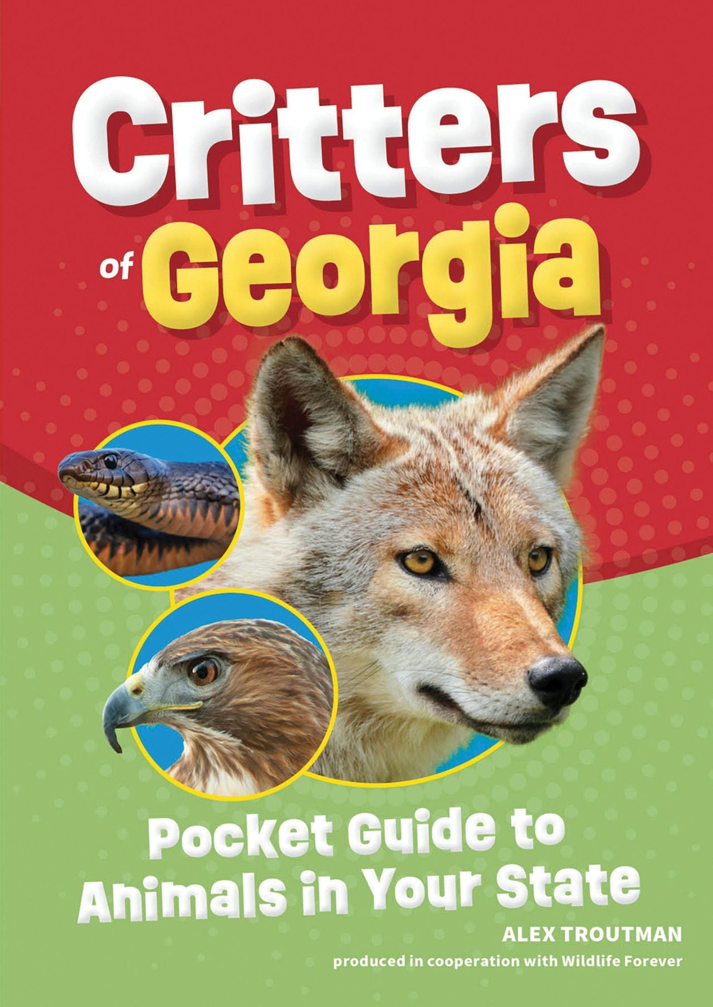Book cover image for Critters of Georgia ISBN: 9781647554118