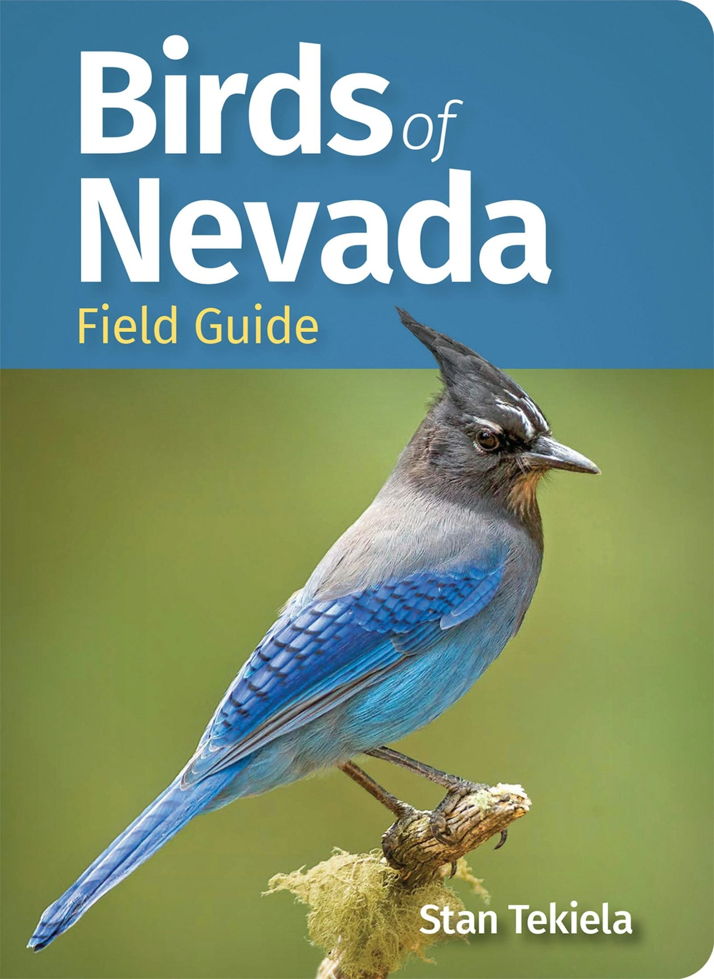 Book cover image for Birds of Nevada Field Guide ISBN: 9781647554224