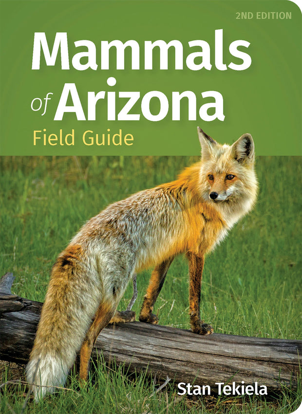Cover image for Mammals of Arizona Field Guide, isbn: 9781647554248