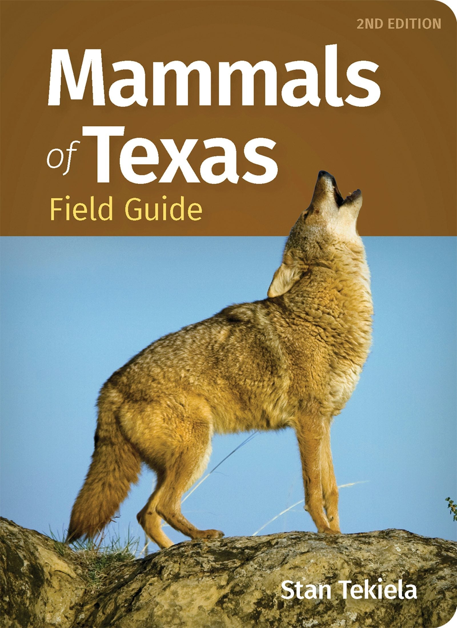 Book cover image for Mammals of Texas Field Guide ISBN: 9781647554262