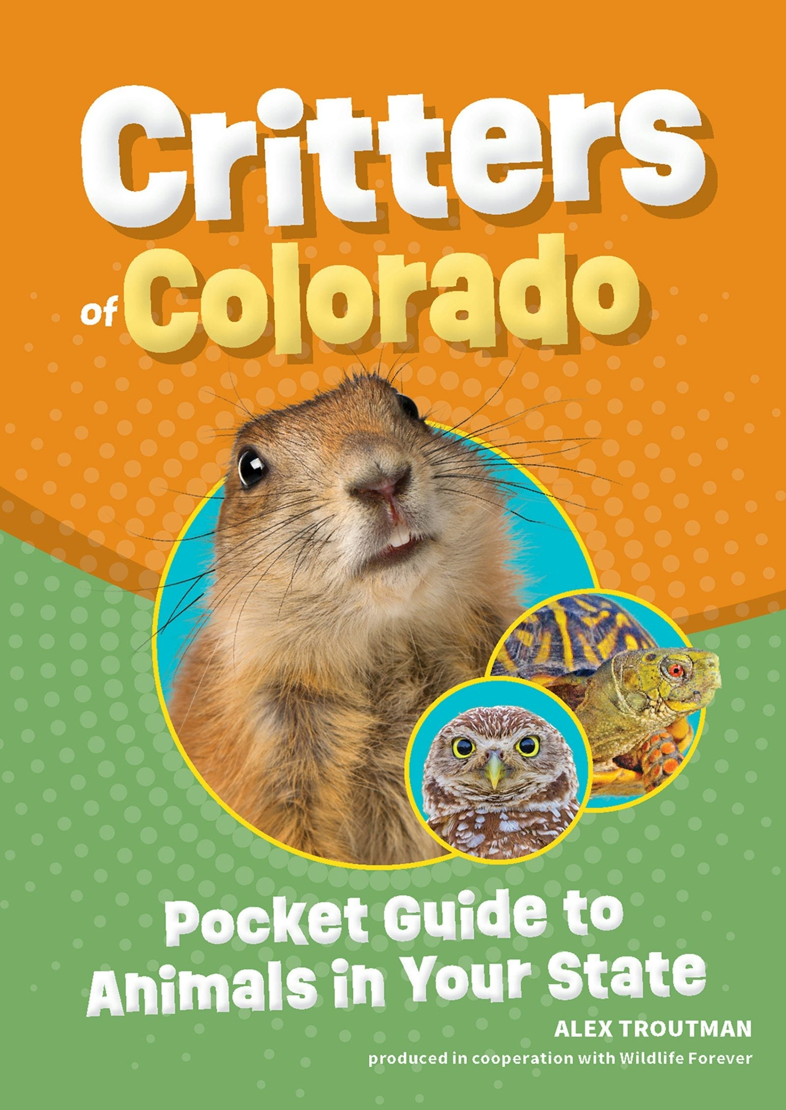 Book cover image for Critters of Colorado ISBN: 9781647554323