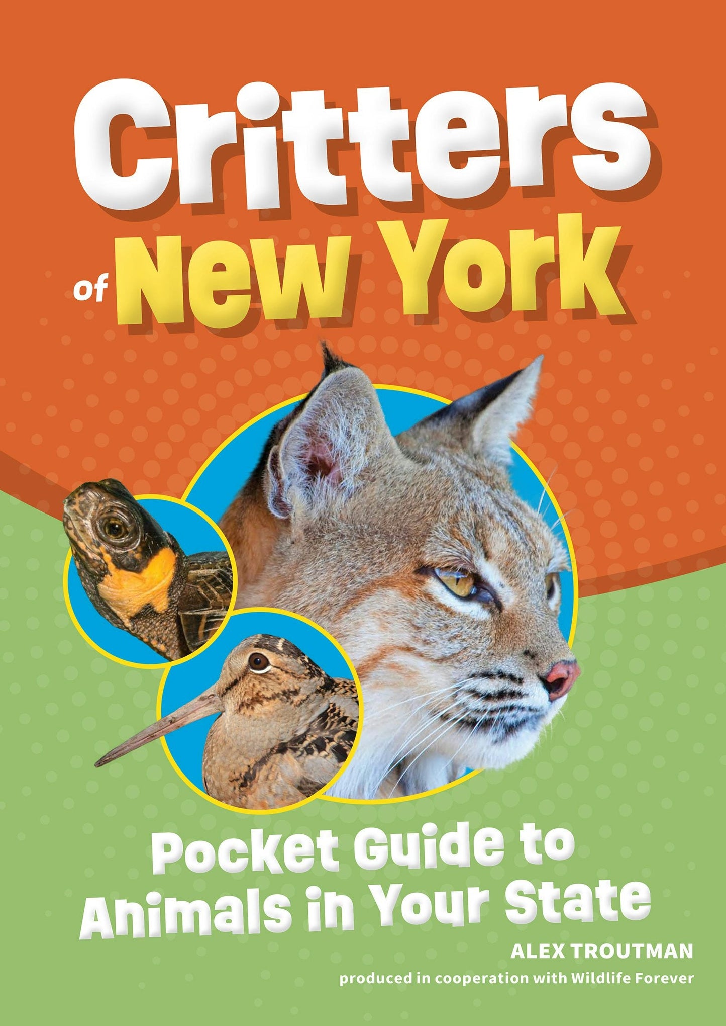 Book cover image for Critters of New York ISBN: 9781647554347