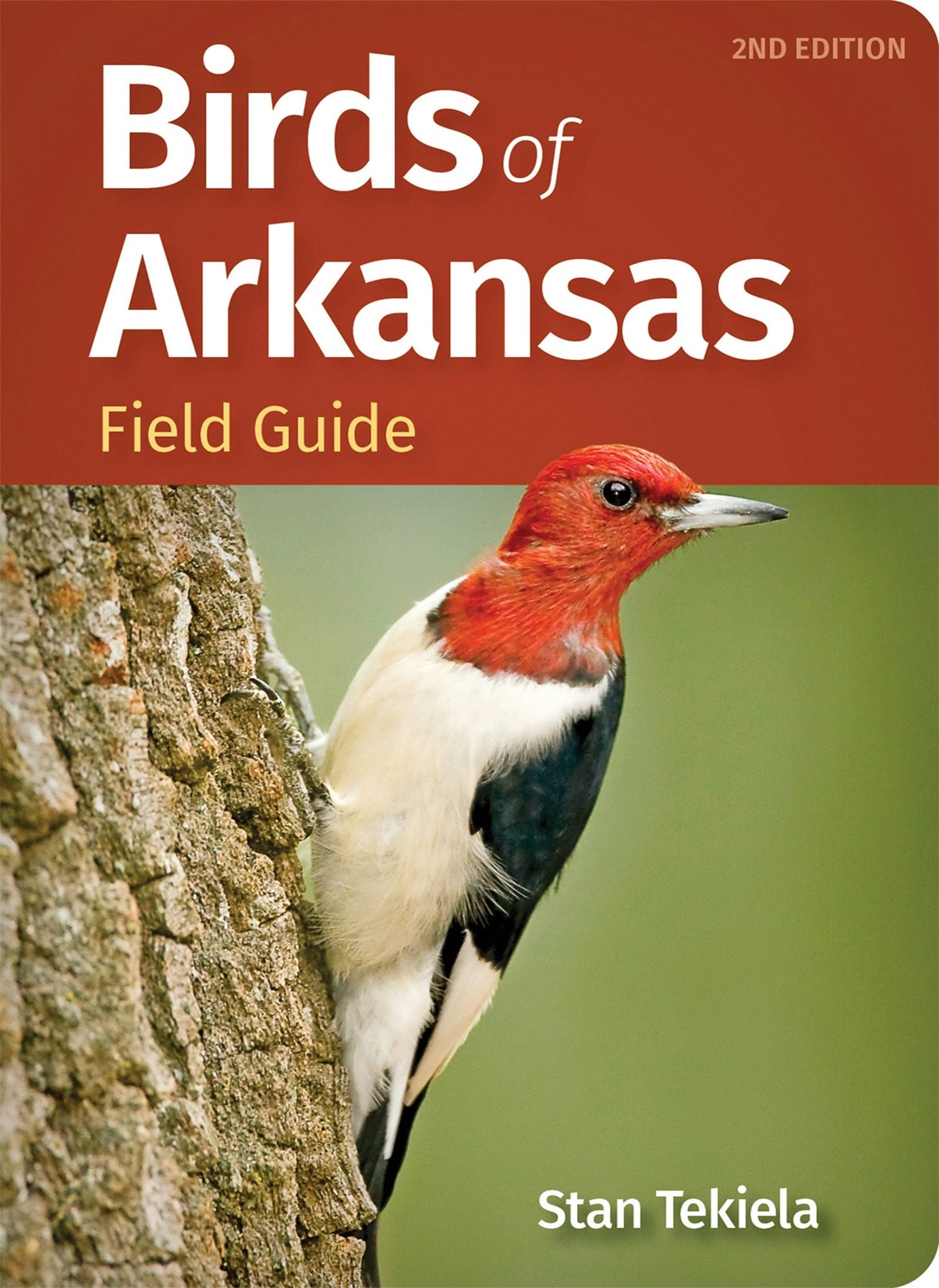 Book cover image for Birds of Arkansas Field Guide ISBN: 9781647554361
