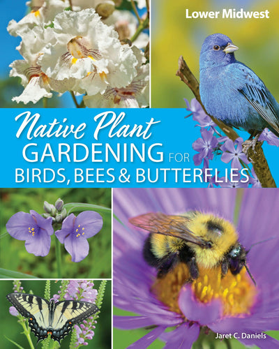 Cover image for Native Plant Gardening for Birds, Bees & Butterflies: Lower Midwest, isbn: 9781647554422