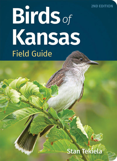 Cover image for Birds of Kansas Field Guide, isbn: 9781647554507