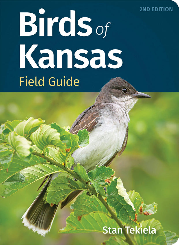 Cover image for Birds of Kansas Field Guide, isbn: 9781647554507
