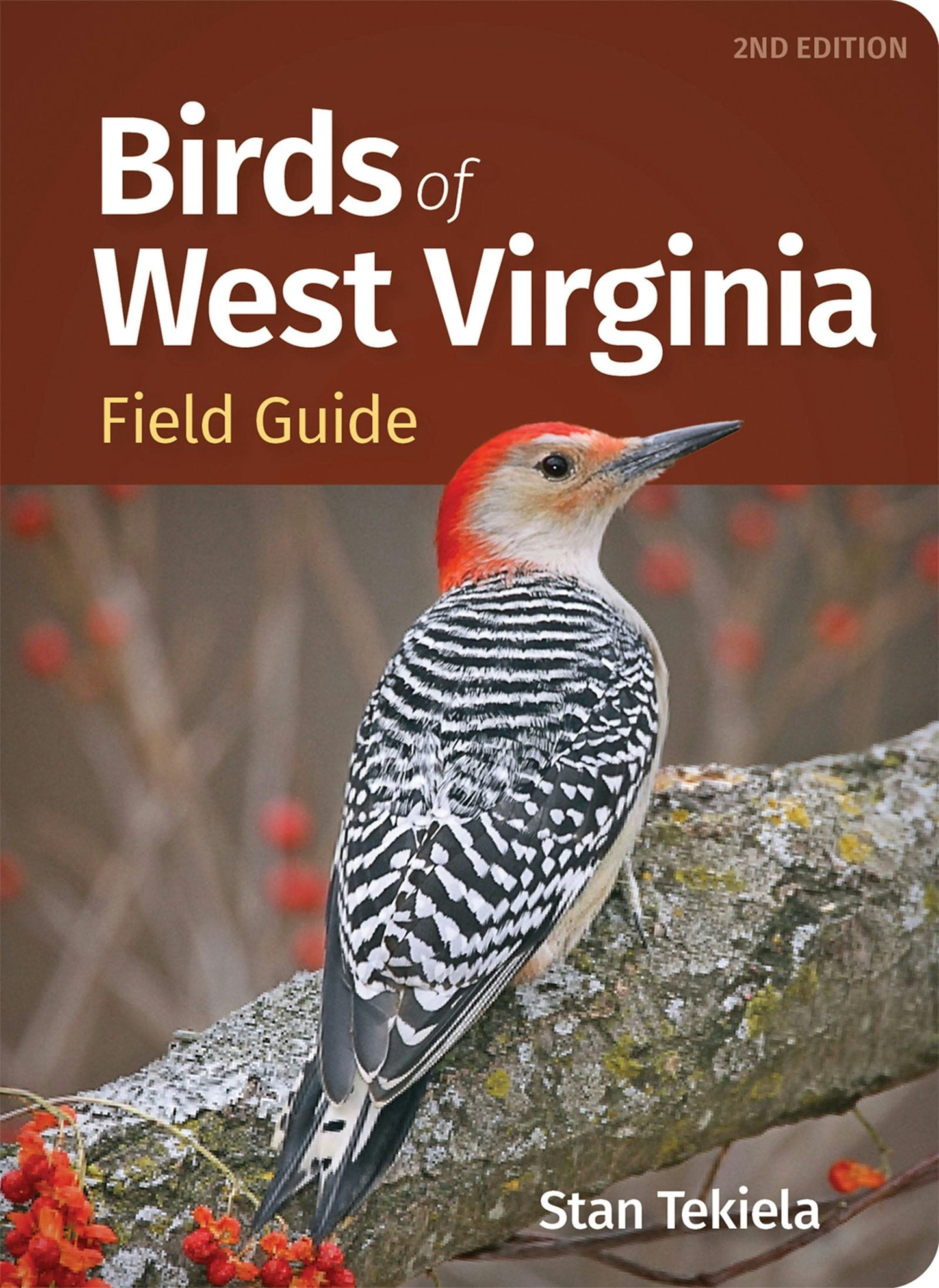 Book cover image for Birds of West Virginia Field Guide ISBN: 9781647554521