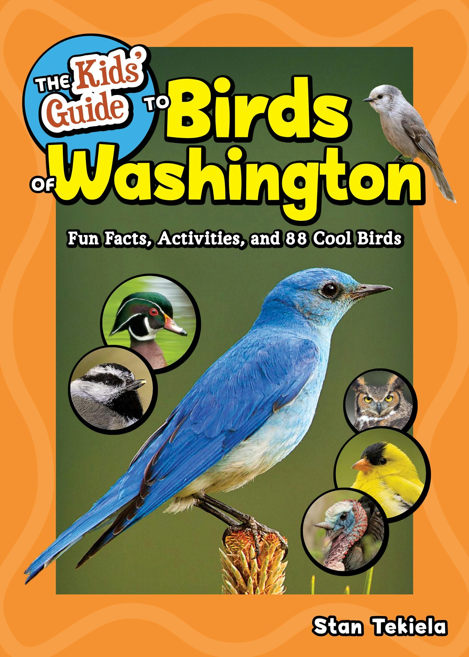 Book cover image for The Kids' Guide to Birds of Washington ISBN: 9781647554606