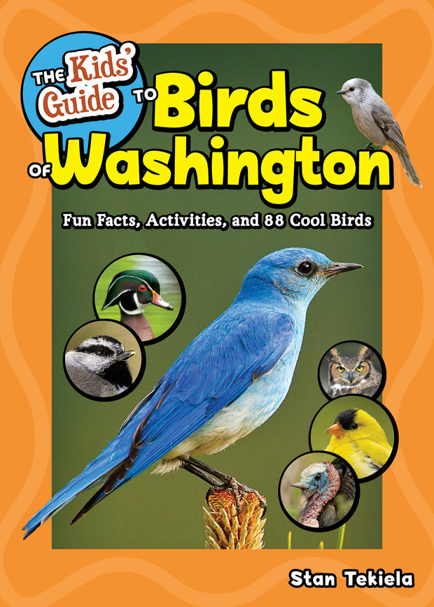 Cover image for The Kids' Guide to Birds of Washington, isbn: 9781647554606