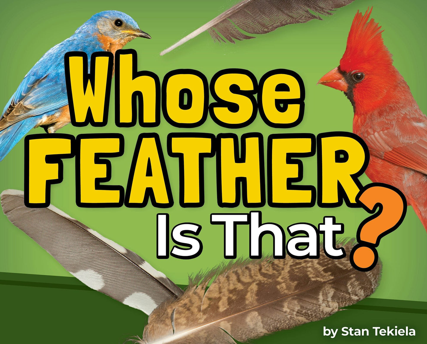 Book cover image for Whose Feather Is That? ISBN: 9781647554910