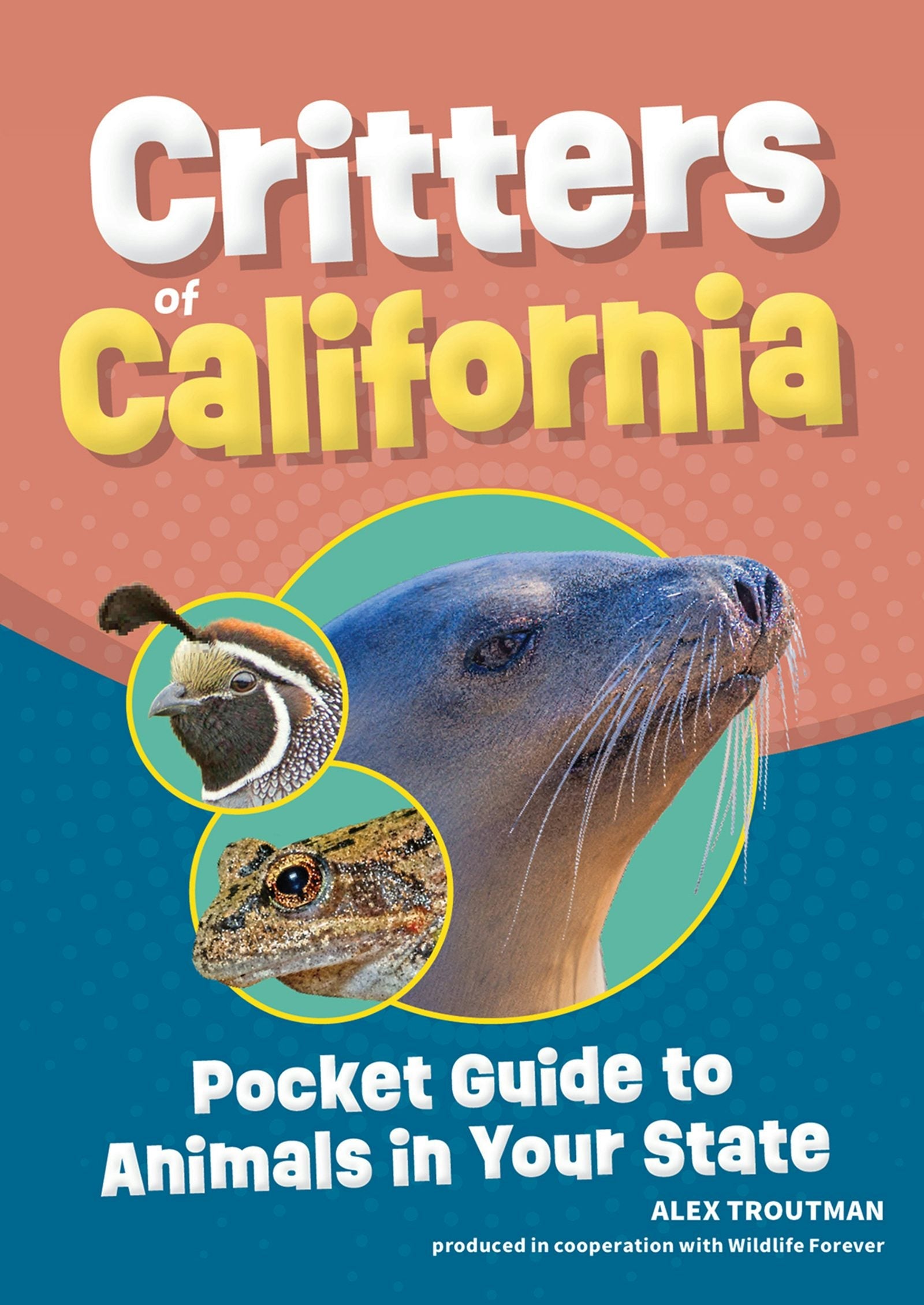Book cover image for Critters of California ISBN: 9781647554996