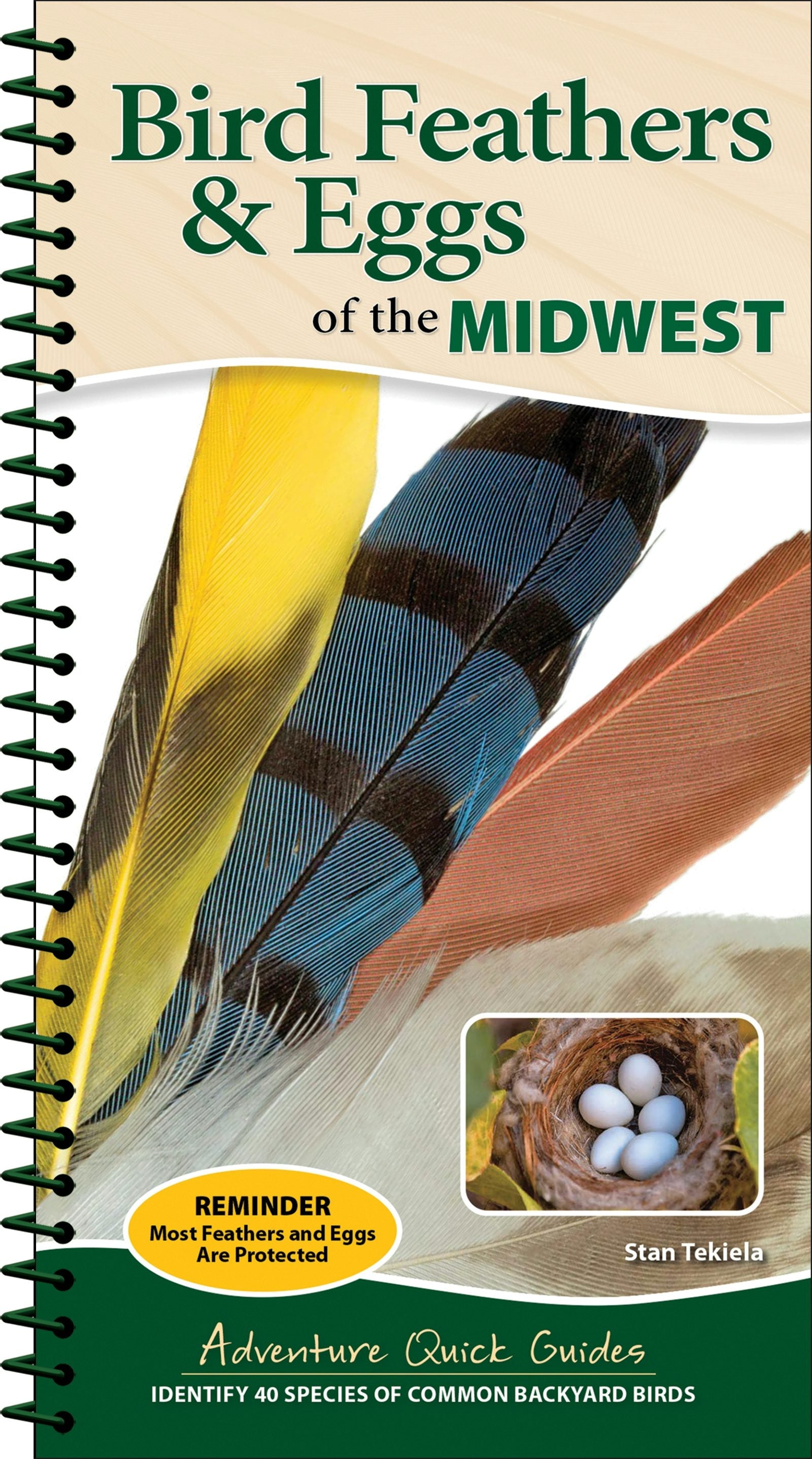 Book cover image for Bird Feathers & Eggs of the Midwest ISBN: 9781647555061