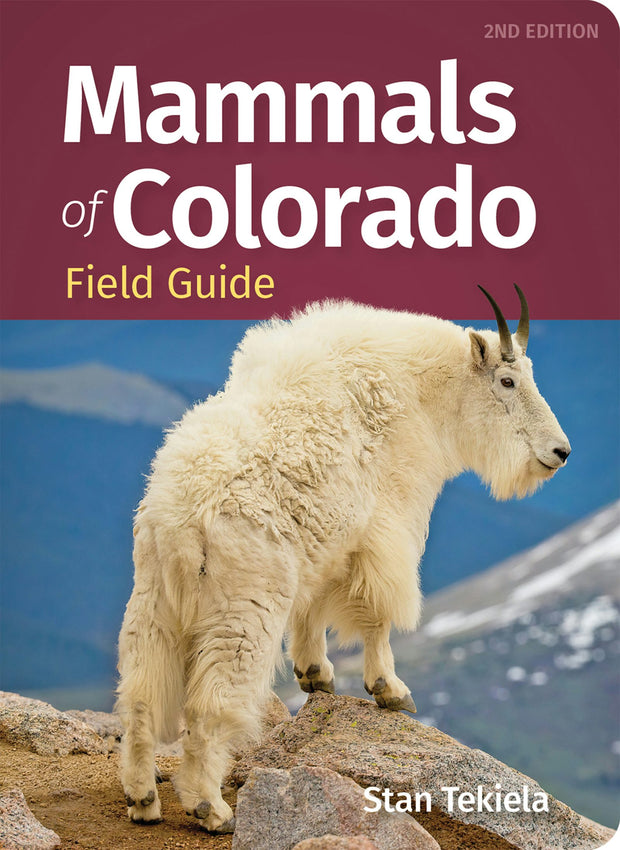 Cover image for Mammals of Colorado Field Guide, isbn: 9781647555115