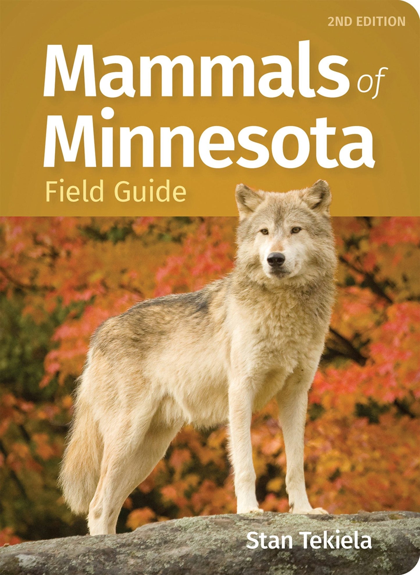Book cover image for Mammals of Minnesota Field Guide ISBN: 9781647555177
