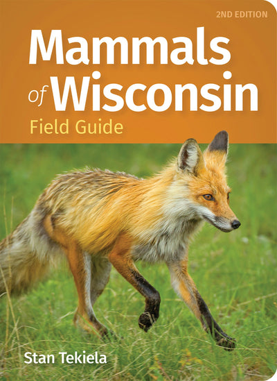 Cover image for Mammals of Wisconsin Field Guide, isbn: 9781647555207