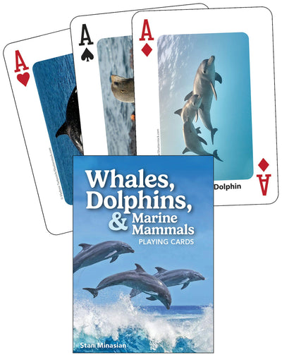Cover image for Whales, Dolphins, & Marine Mammals Playing Cards, isbn: 9781647555344