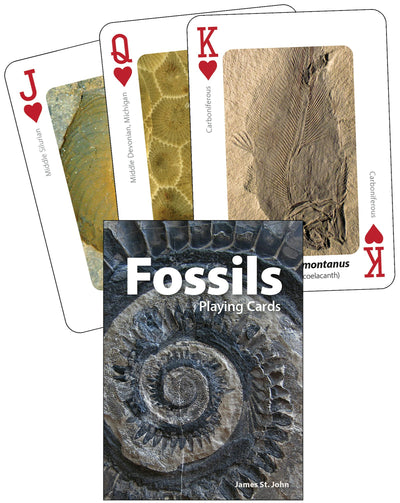Cover image for Fossils Playing Cards, isbn: 9781647555351