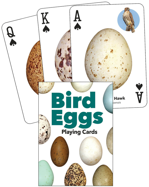 Cover image for Bird Eggs Playing Cards, isbn: 9781647555368
