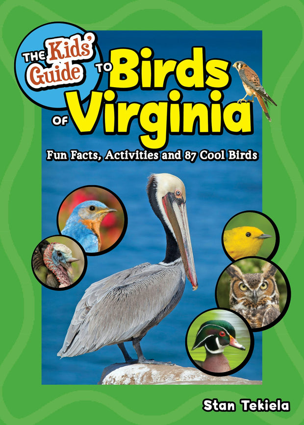 Cover image for The Kids' Guide to Birds of Virginia, isbn: 9781647555894