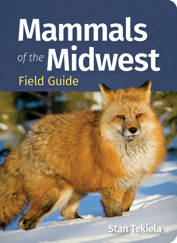 Cover image for Mammals of the Midwest Field Guide, isbn: 9781647555917