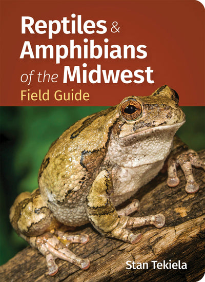 Cover image for Reptiles & Amphibians of the Midwest Field Guide, isbn: 9781647555986