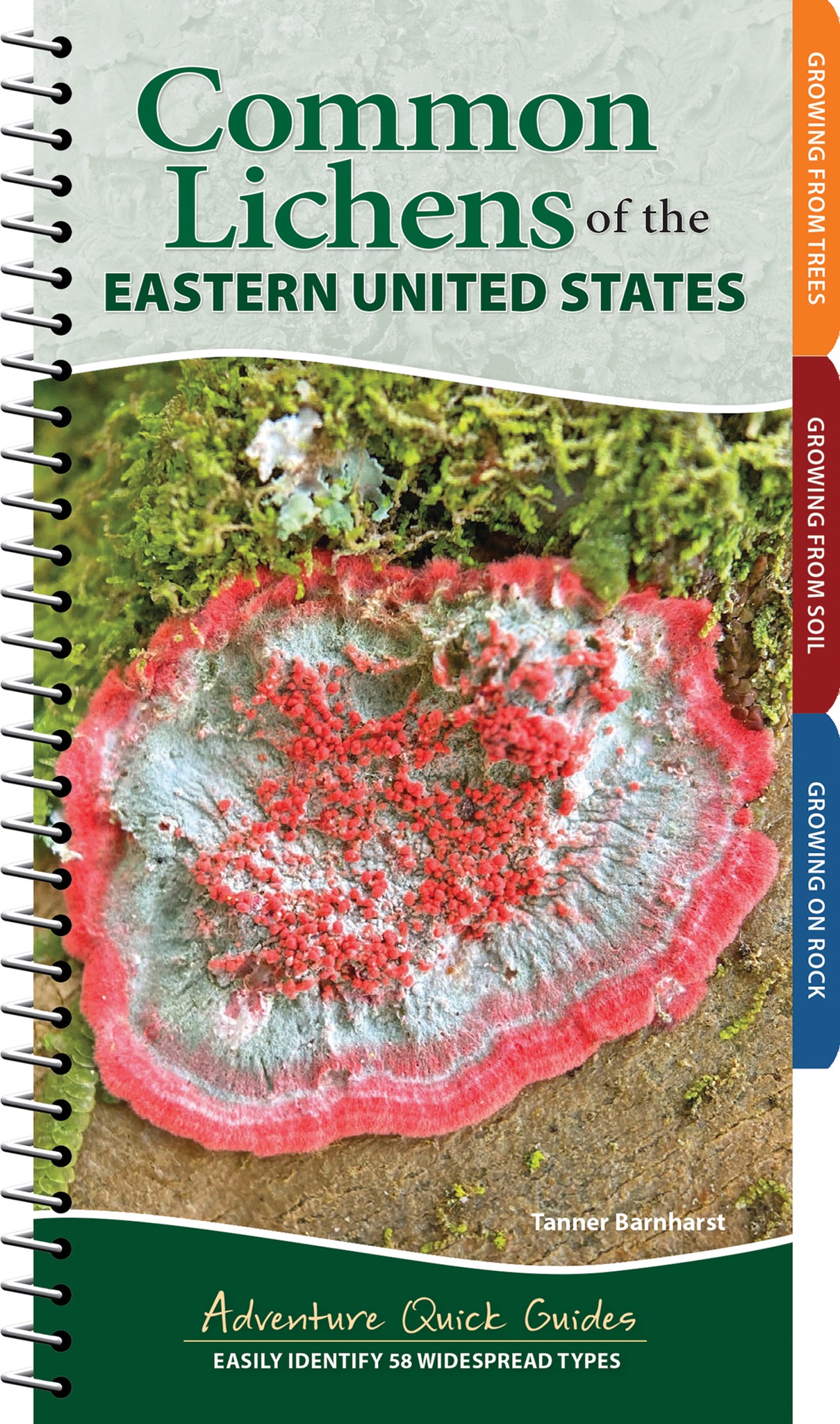 Cover image for Common Lichens of the Eastern United States ISBN 9781647556006