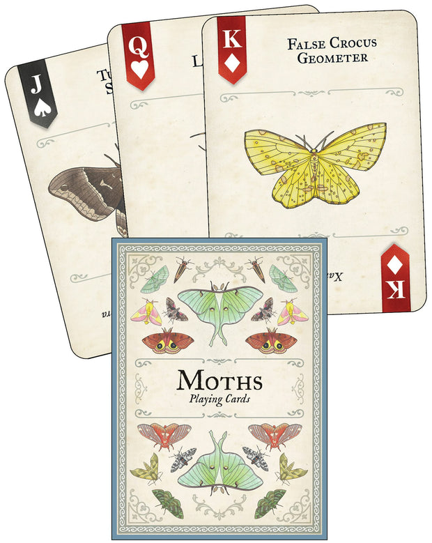 Cover image for Moths Playing Cards, isbn: 9781647556761