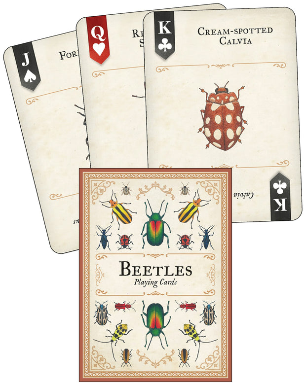 Cover image for Beetles Playing Cards, isbn: 9781647556778