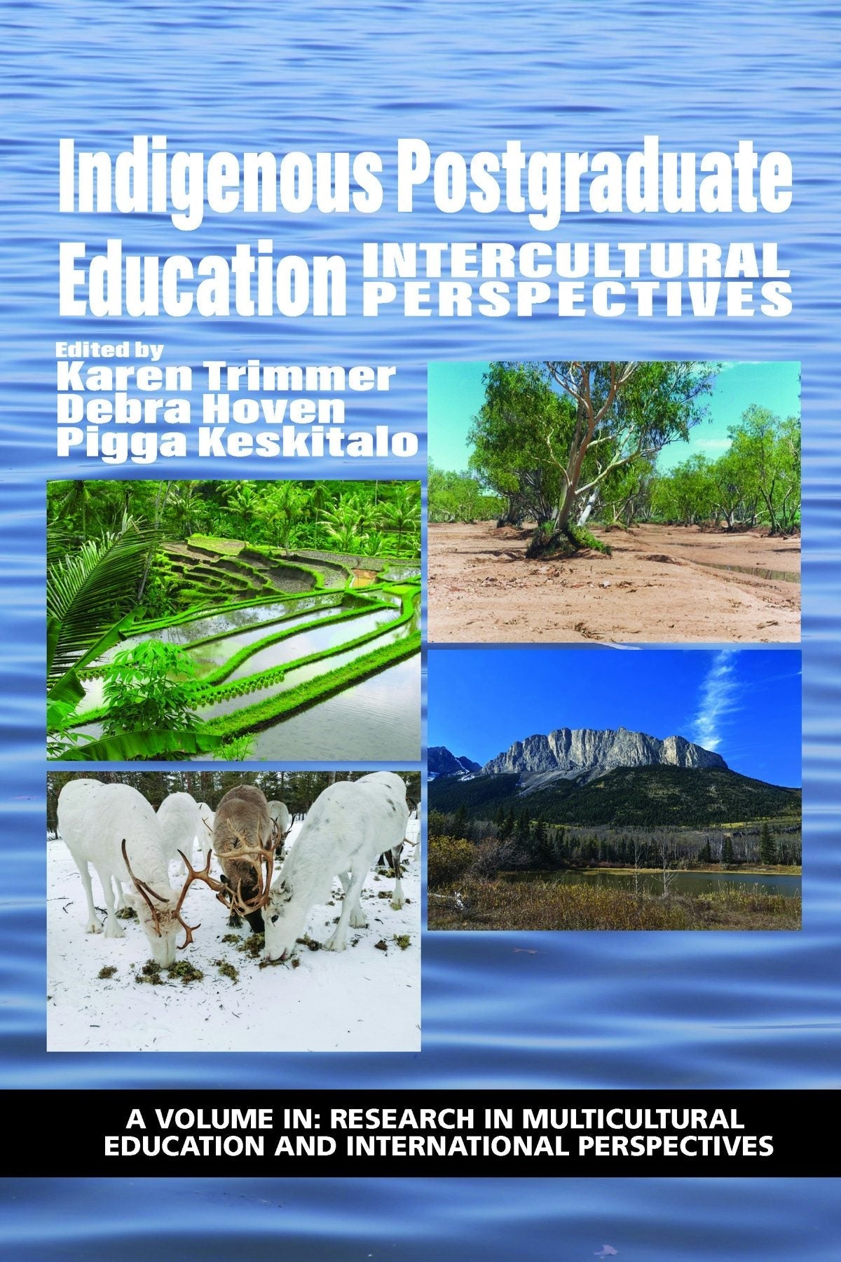 Book cover image for Indigenous Postgraduate Education ISBN: 9781648021091