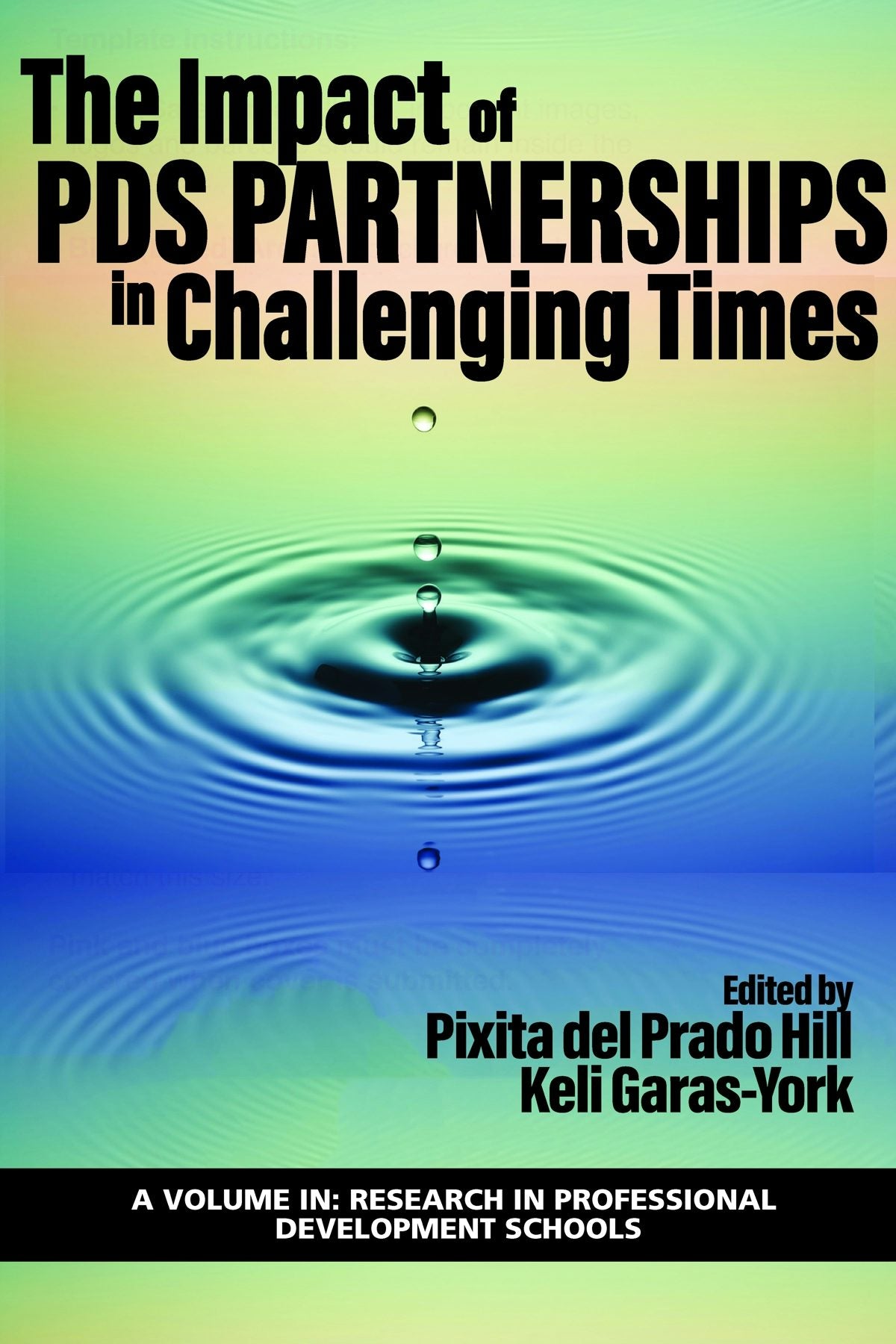Book cover image for The Impact of PDS Partnerships in Challenging Times ISBN: 9781648021909